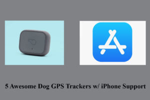 5 Awesome Dog GPS Trackers w/ iPhone Support