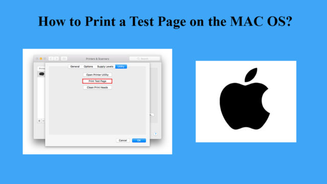 Print.Test.Page.OK 3.02 download the new version for iphone