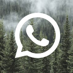 WhatsApp Icon Aesthetic For iPhone in iOS 14 | My Blog