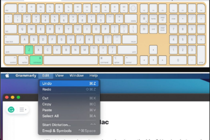 darktable mac undo shortcut