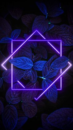 100+ Free HD Aesthetic Neon Wallpapers For iPhone 2023
