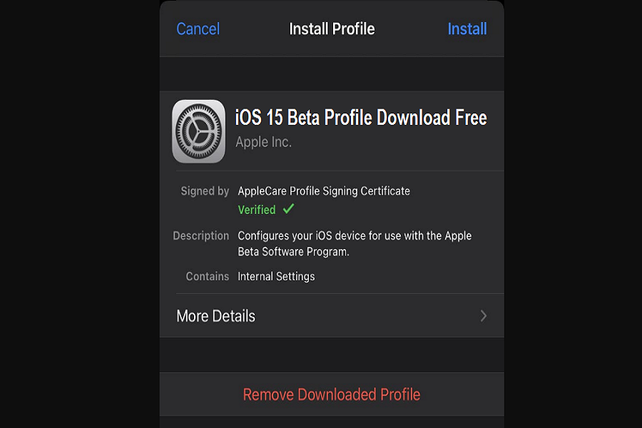 iOS 15 beta profile Download free