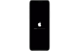 iOS 15 Failed To Install