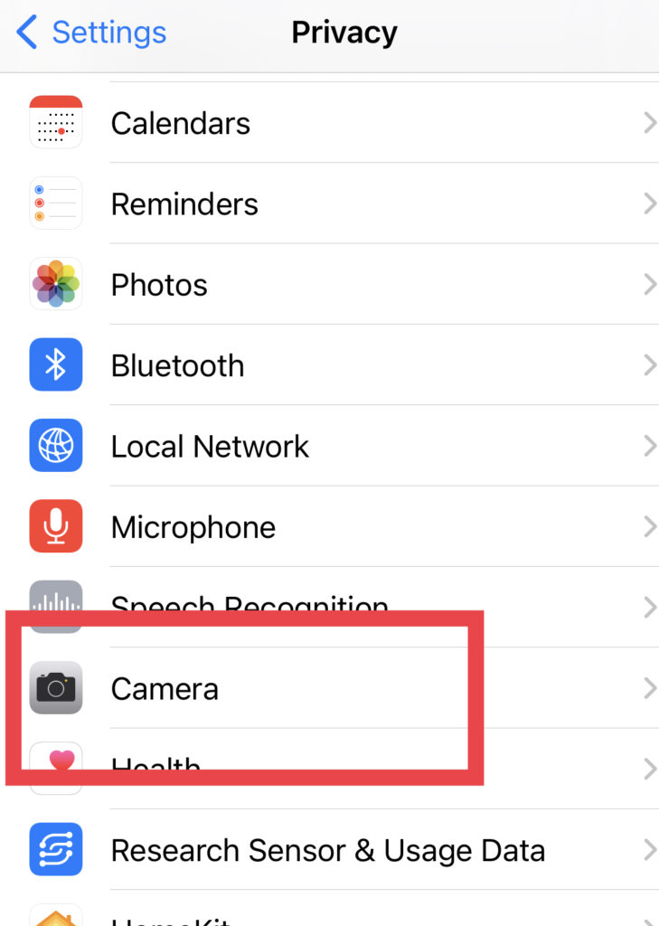 What Is Green Dot in iOS 14? How To Turn it Off on iPhone