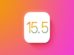 iOS 15.5 beta 1 release date