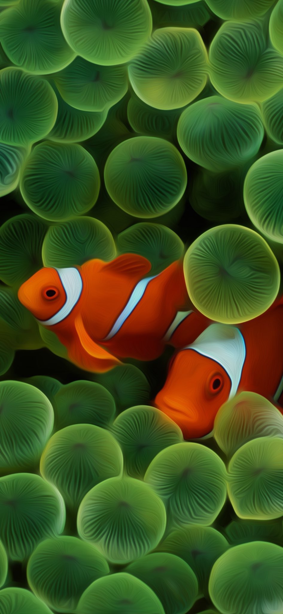 iOS 16 Clownfish Wallpapers 4K iPhone Download