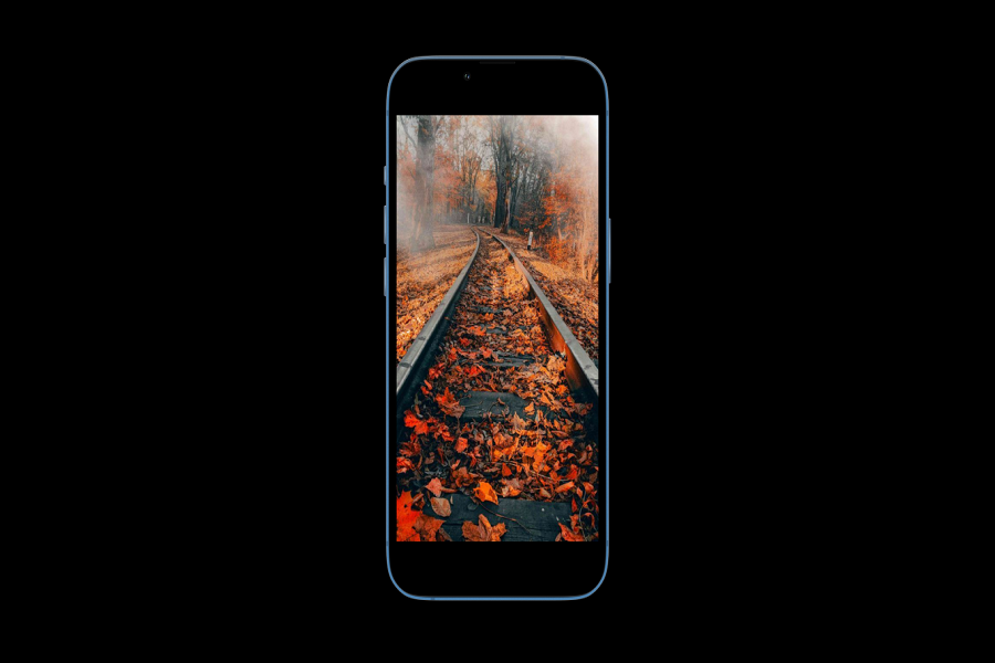 Fall Wallpaper iPhone 4K