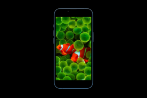 iOS 16 Home Screen Wallpaper