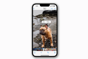 iOS 16 Photo Cutout Not Working iPhone X