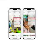 Save Live Photo As Video iOS 16 On iPhone