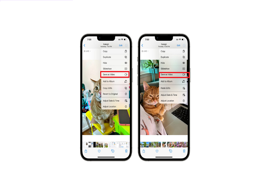 Save Live Photo As Video iOS 16 On iPhone