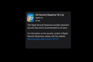 iOS Security Response 16.2
