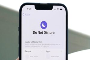 turn on Do Not Disturb on iOS 16