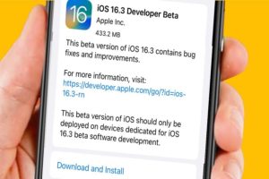 Download iOS 16.3 Beta 2