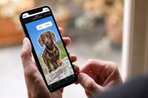 How to copy and paste a picture onto another picture on iPhone iOS 16