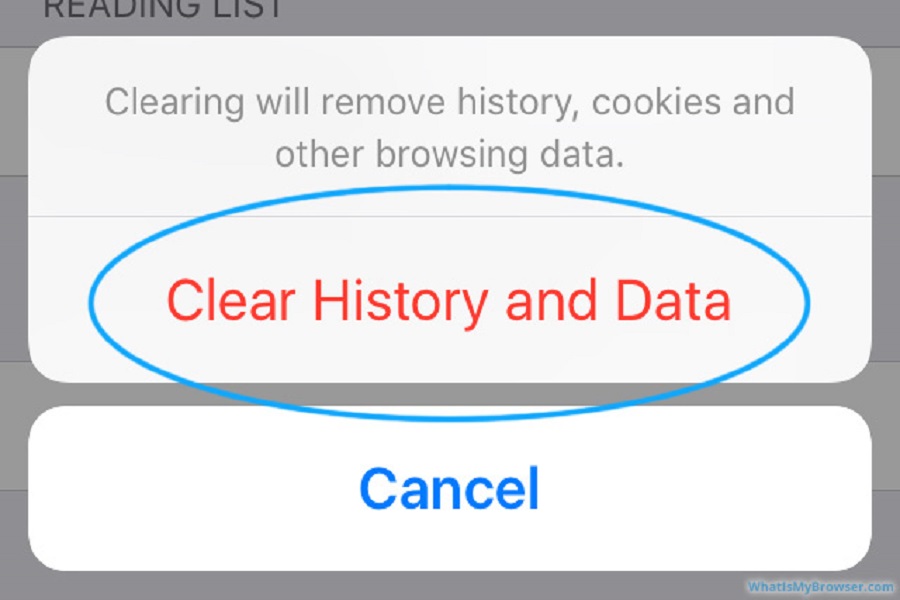 How to Clear Search History on iPhone