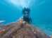 Take Underwater Photos With iPhone 14