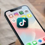 TikTok Icon Aesthetic